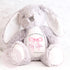 Personalised Big Sister Gift, Big Sister Announcement, New Baby Soft Toy, New baby gift, Newborn Gift, Baby Keepsake, Baby shower gift