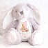 My First Easter Gift, 1st Easter Gift, Easter Bunny Toy, Personalised Easter Bunny, Soft Toy Keepsake, Name Bunny, Grandson Gift
