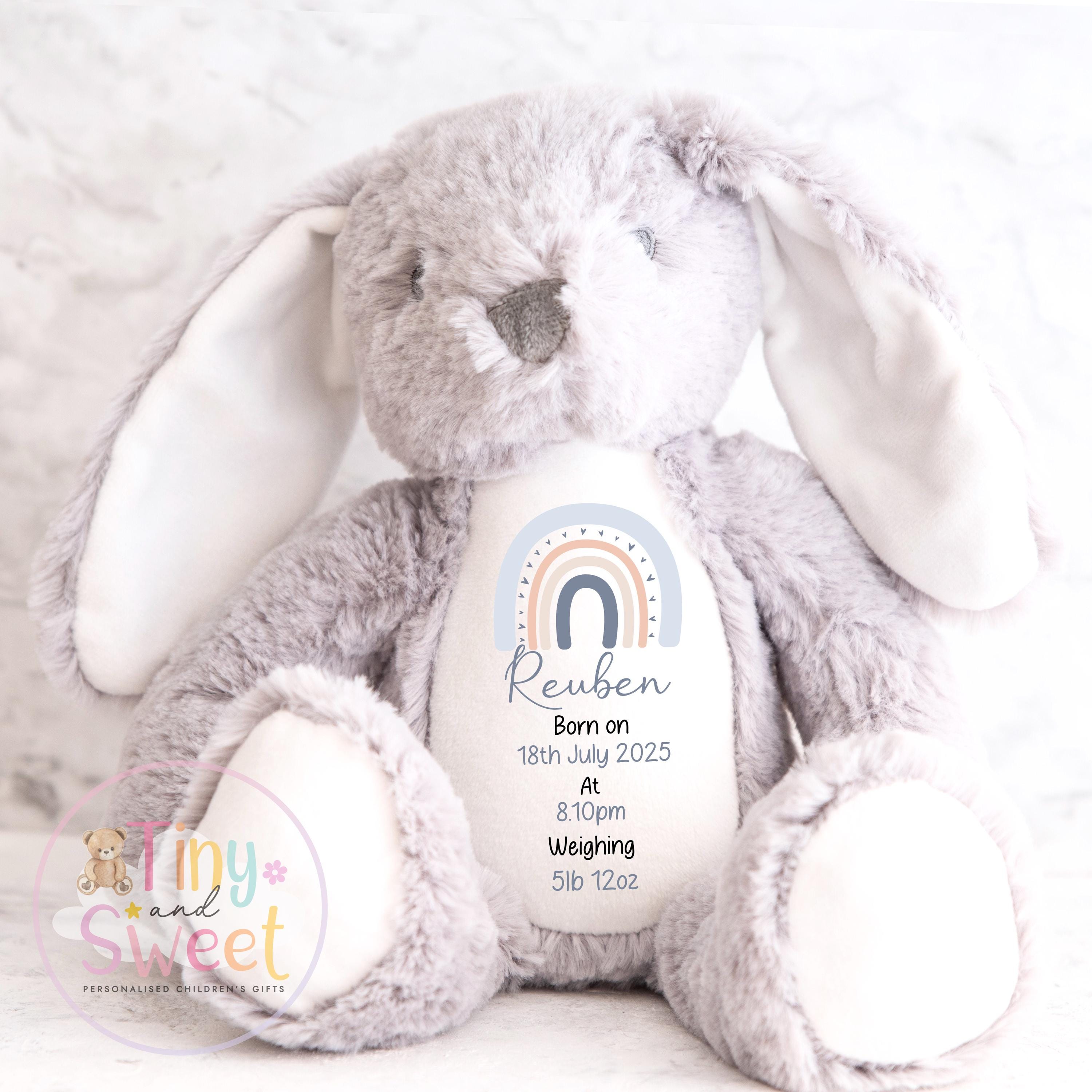 Personalised Birth Stat Bunny, Rainbow New Baby Gift, Newborn Baby Gift, Personalised Rainbow Bunny with Birth Details