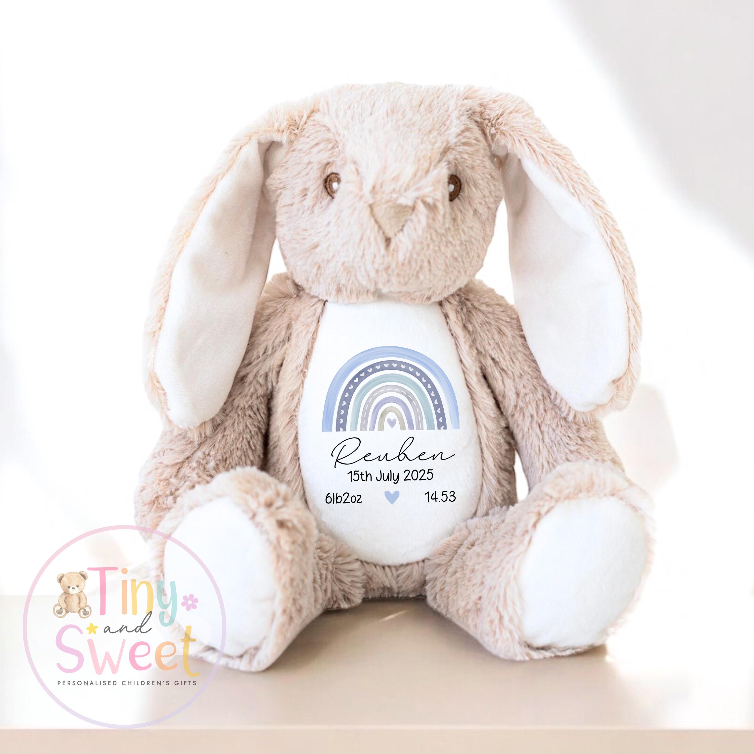 Personalised Birth Stat Bunny, Rainbow New Baby Gift, Newborn Baby Gift, Personalised Rainbow Bunny with Birth Details