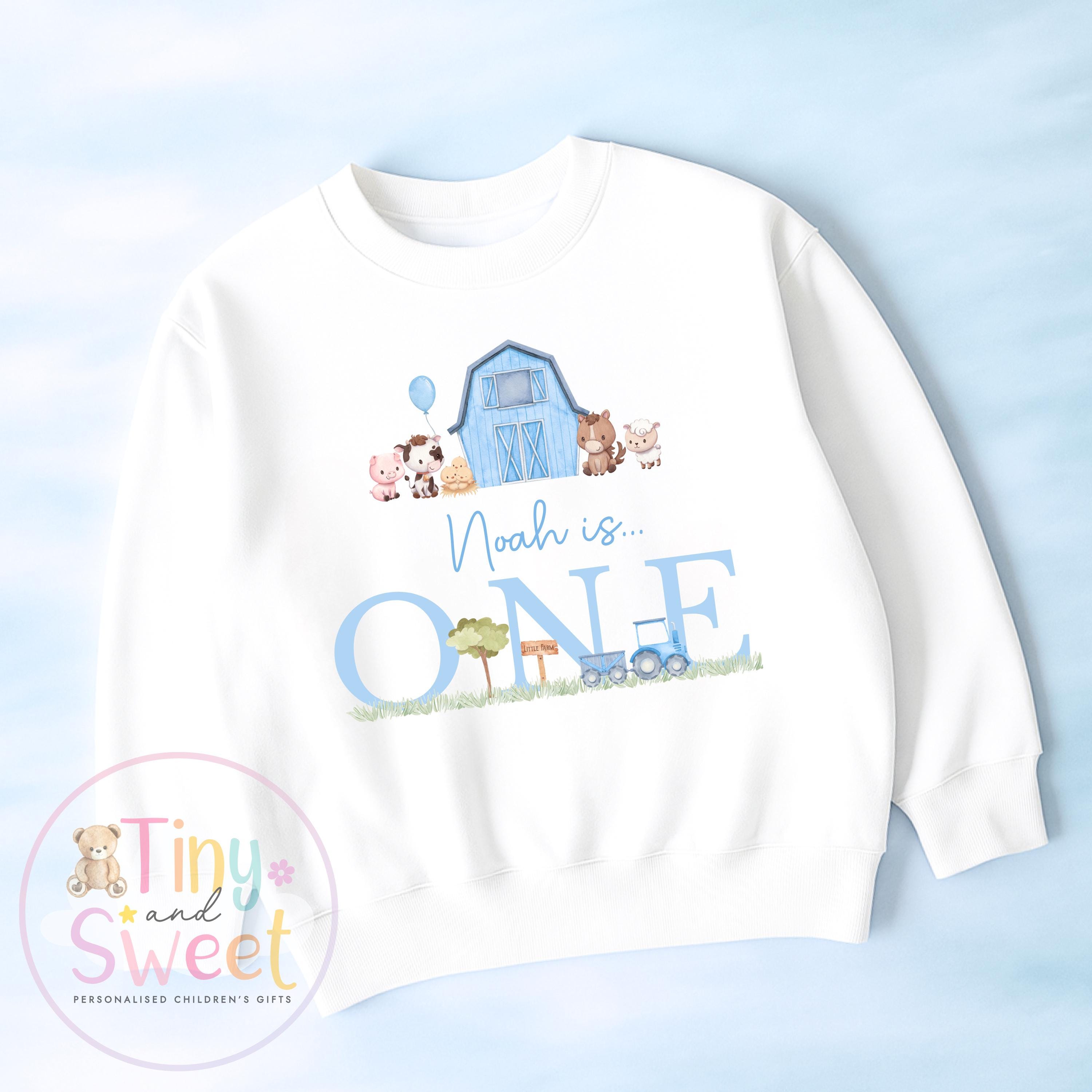 Personalised Farm Birthday Sweatshirt, Custom Farm Birthday Tee, 1st, 2nd, 3rd, 4th, Farms, Farmyard Animals Birthday T-Shirt