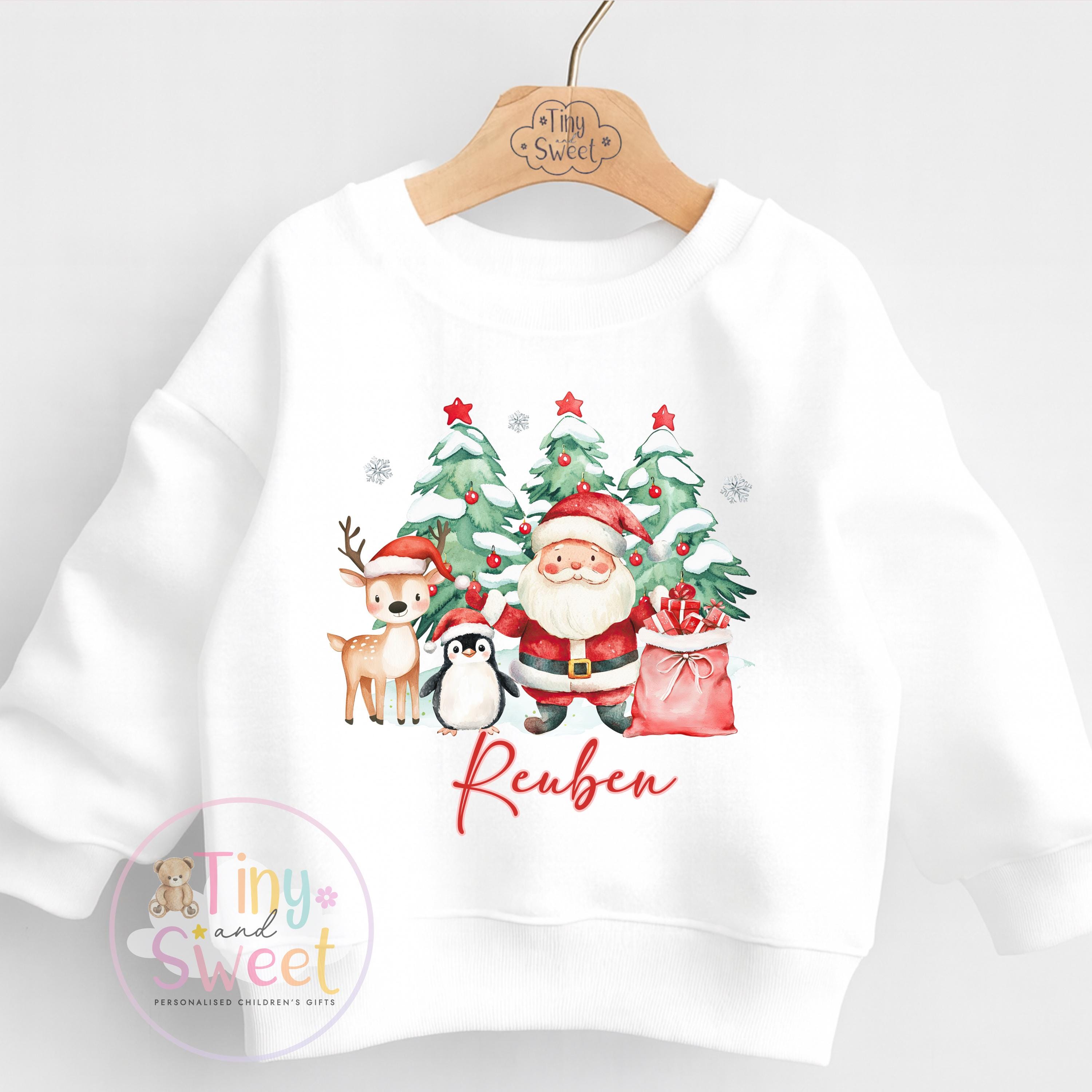 Personalised Christmas Jumper For Children, Christmas Sweatshirt, Santa and Reindeer, Christmas Day Jumper, Toddler Xmas Jumper
