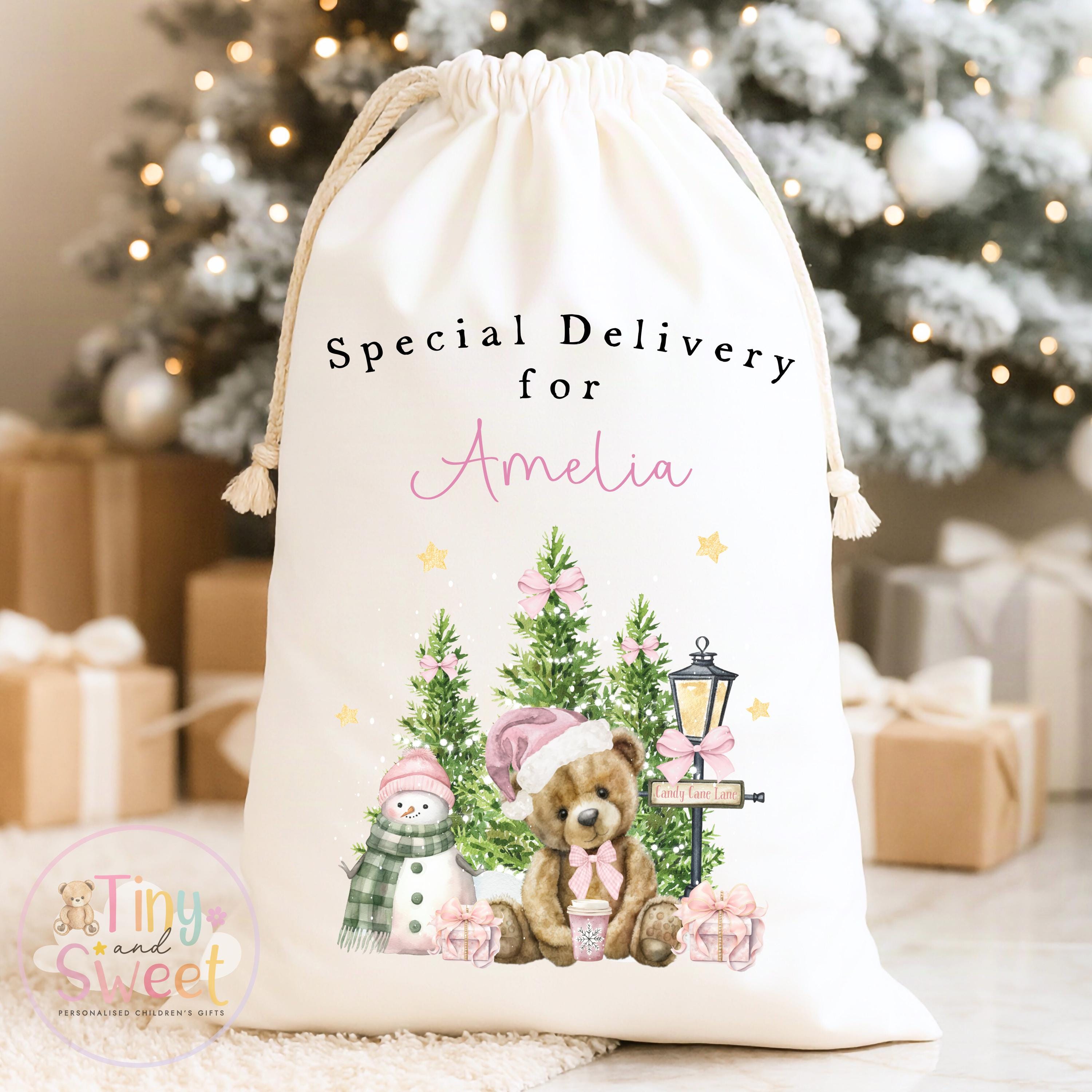 Pink Teddy Bear Winter Wonderland Personalised Christmas Sack