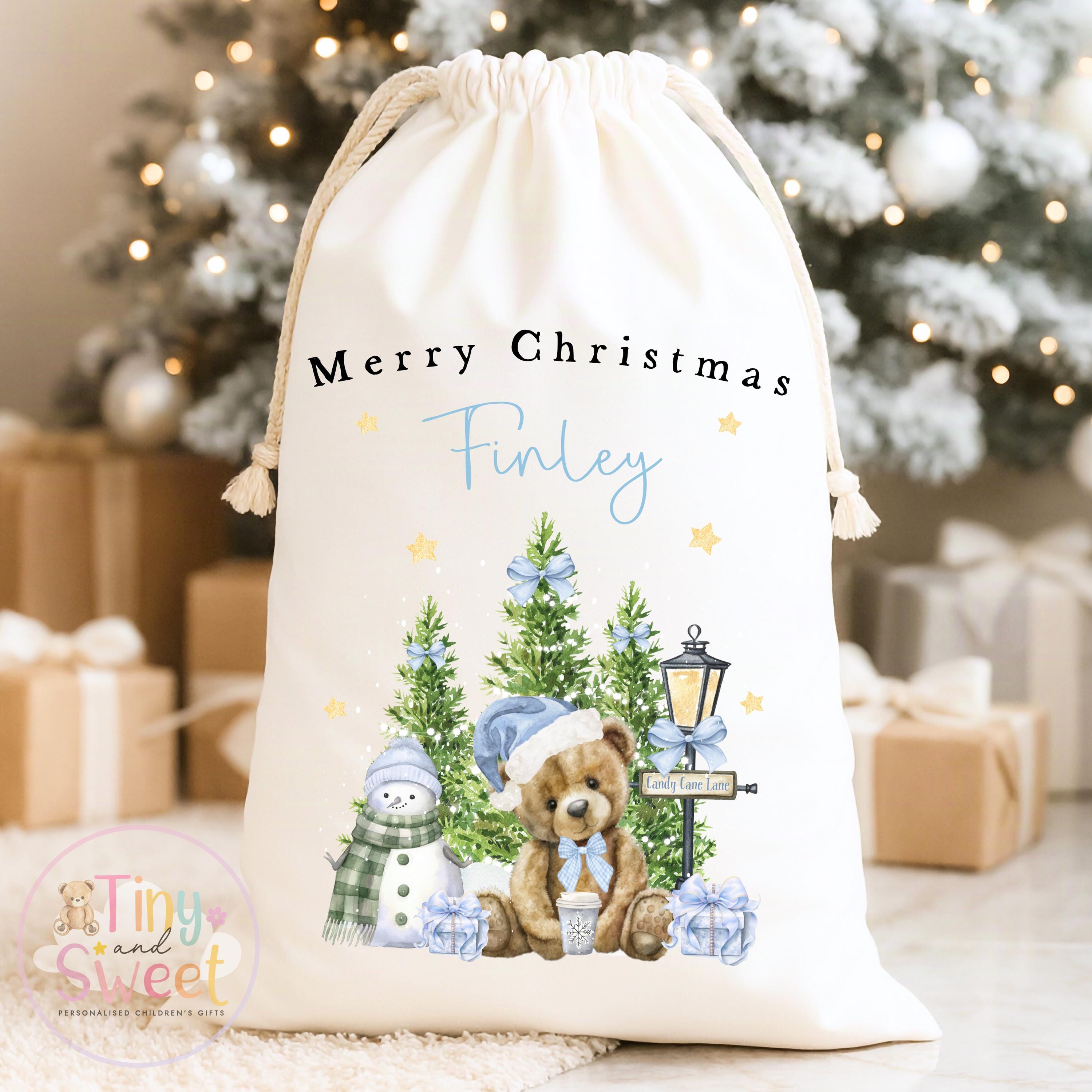 Blue Teddy Bear Winter Wonderland Personalised Christmas Sack