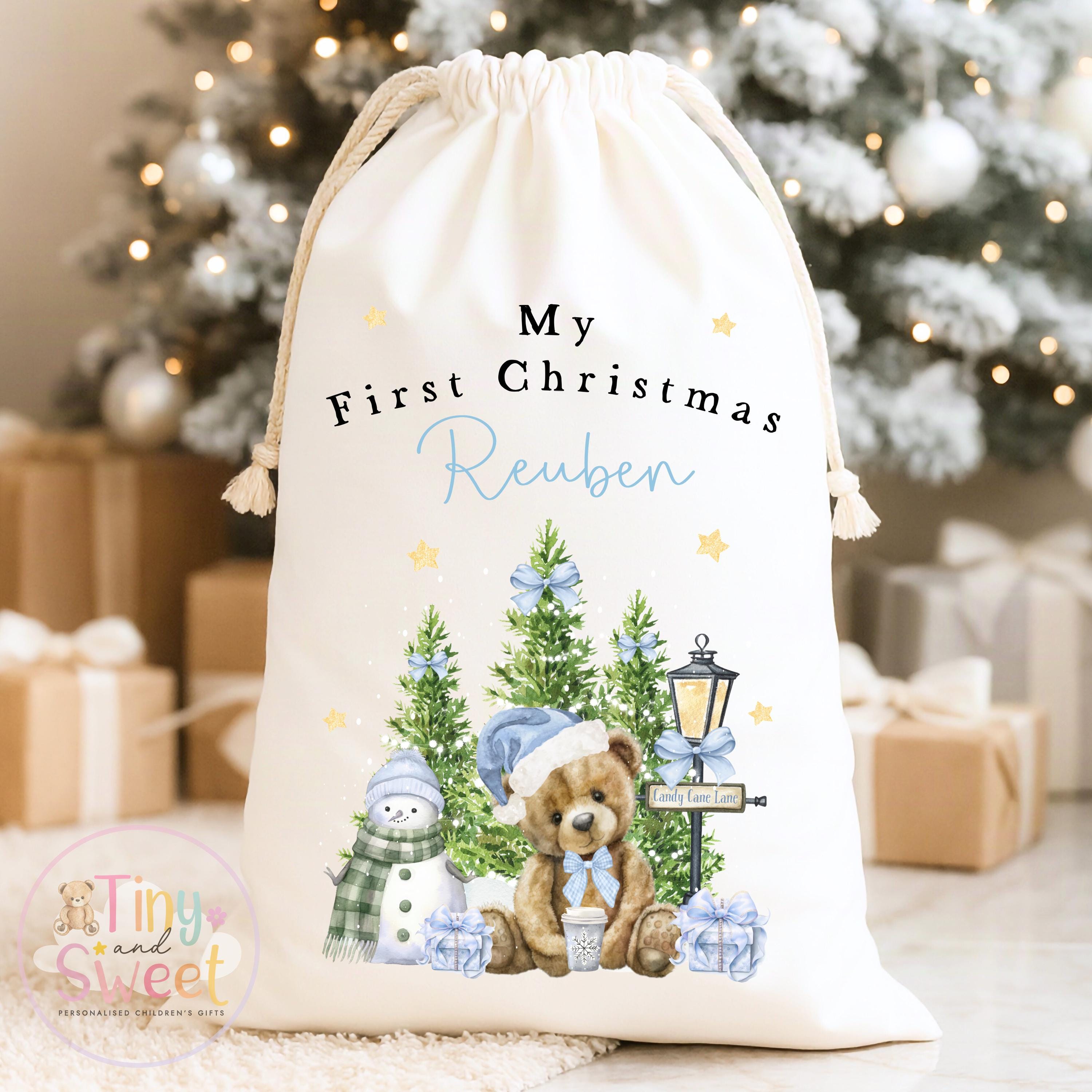 Blue Teddy Bear Winter Wonderland Personalised Christmas Sack