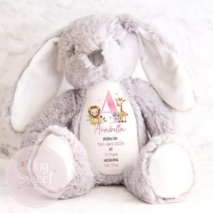 Personalised New Baby soft Toy, New Birth Gift, New baby gift, Newborn Gift, Baby Keepsake, Baby shower gift, Birth stats, Teddy, Bunny