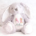 Personalised Christening Bunny, Christening Gift, Christening Keepsake, Personalised Christening Gifts, Baptism Gift, New Baby Gift