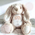 Personalised New Baby Gift, Beige New Baby Soft Toy, New baby gift, Newborn Gift, Baby Keepsake, Baby shower gift, Birth stats, Teddy, Bunny