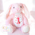 Personalised Berry First Birthday Bunny, Strawberry First Birthday Bunny, Personalised Soft Toy, Berry 1st, First Birthday Gift for Baby