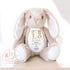 Personalised New Baby soft Toy, New Birth Gift, New baby gift, Newborn Gift, Baby Keepsake, Baby shower gift, Birth stats, Teddy, Bunny