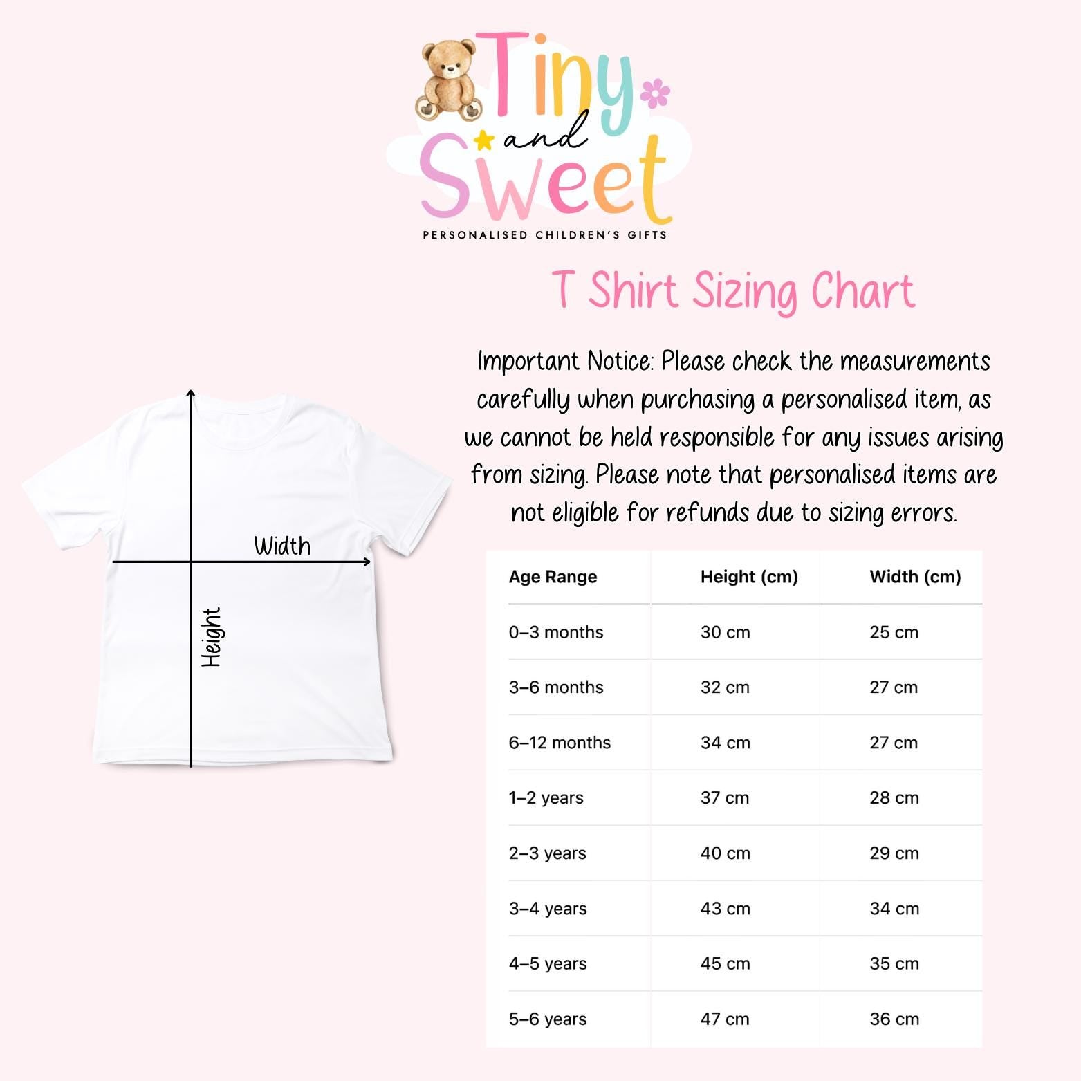 Big Sister TShirt, Big Sister, Fairy Big Sister T Shirt, Big Sister Top, Big Sister Gift, Pregnancy Announcement, Little Sister T Shirt