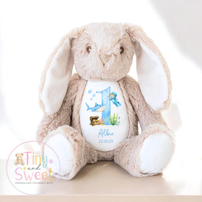 Personalised Birthday Bunny, 1st Birthday Gift Under The sea, Boy Teddy, 2nd Baby Girl Birthday Present, Personalised 3rd Birthday Soft Toy