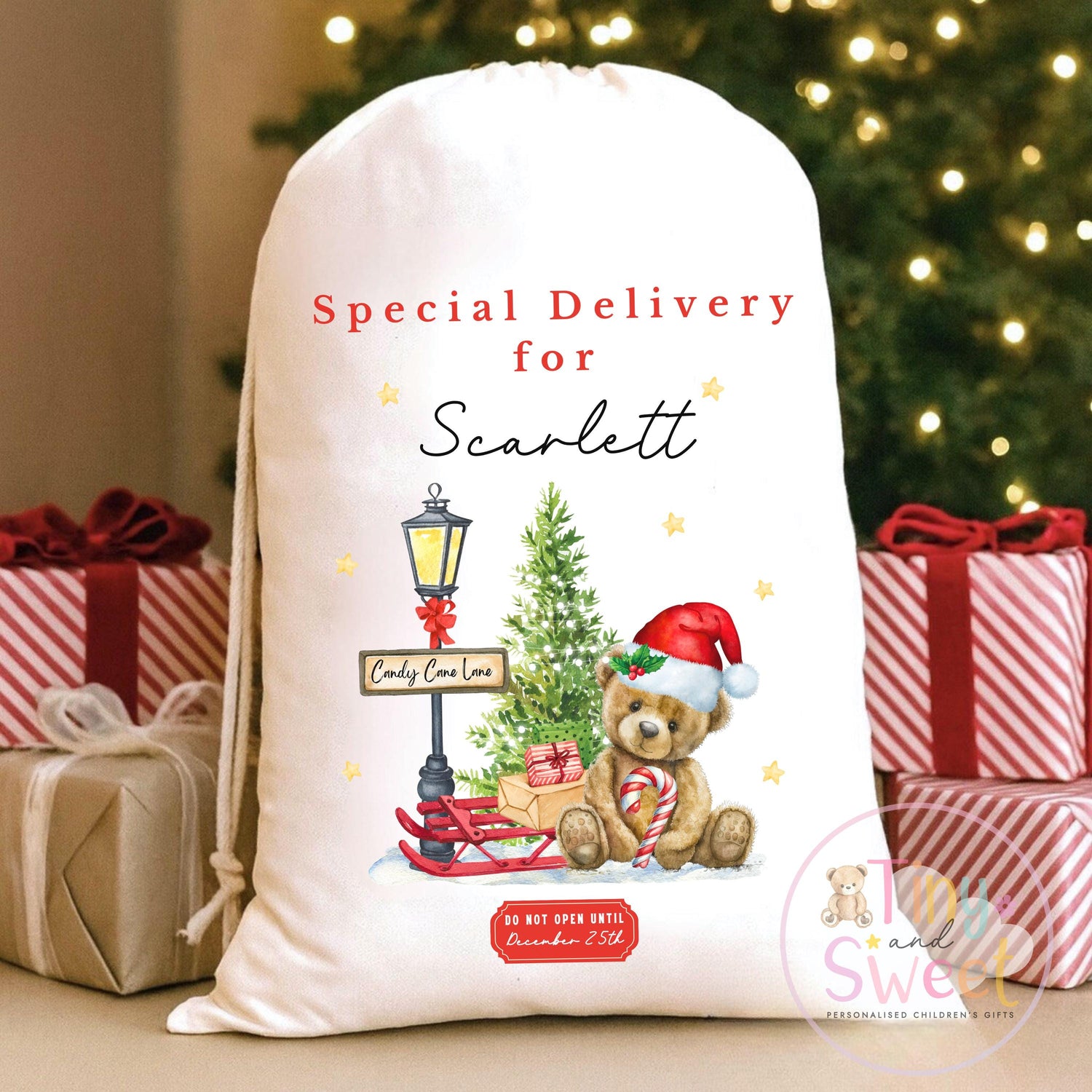 Classic Teddy Bear Personalised Christmas Sack