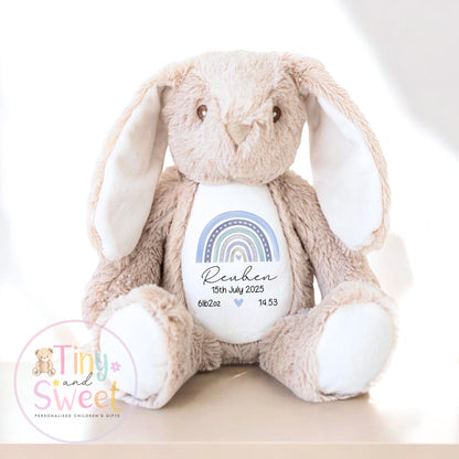 Personalised Birth Stat Bunny, Rainbow New Baby Gift, Newborn Baby Gift, Personalised Rainbow Bunny with Birth Details