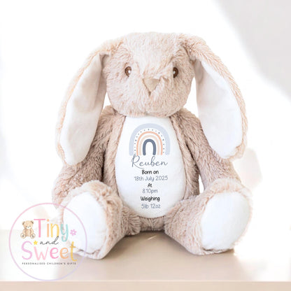 Personalised Birth Stat Bunny, Rainbow New Baby Gift, Newborn Baby Gift, Personalised Rainbow Bunny with Birth Details