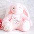 Personalised Flower Girl Bunny, Flower Girl Gift, Will you be my flower girl Bunny, Personalised Soft Toy, Flower Girl Proposal, Bridesmaid