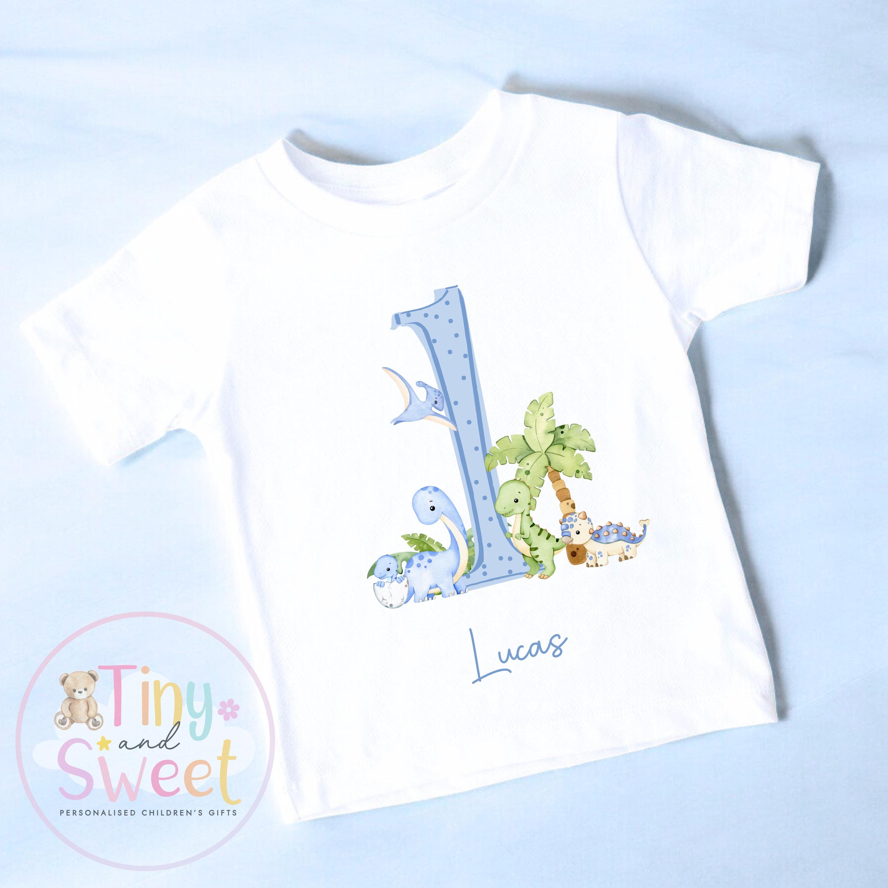 Personalised Dinosaur Blue Birthday T-shirt, 1st Birthday T Shirt, Dinosaur 2nd Birthday T Shirt, 3rd Birthday, Dinosaur Birthday