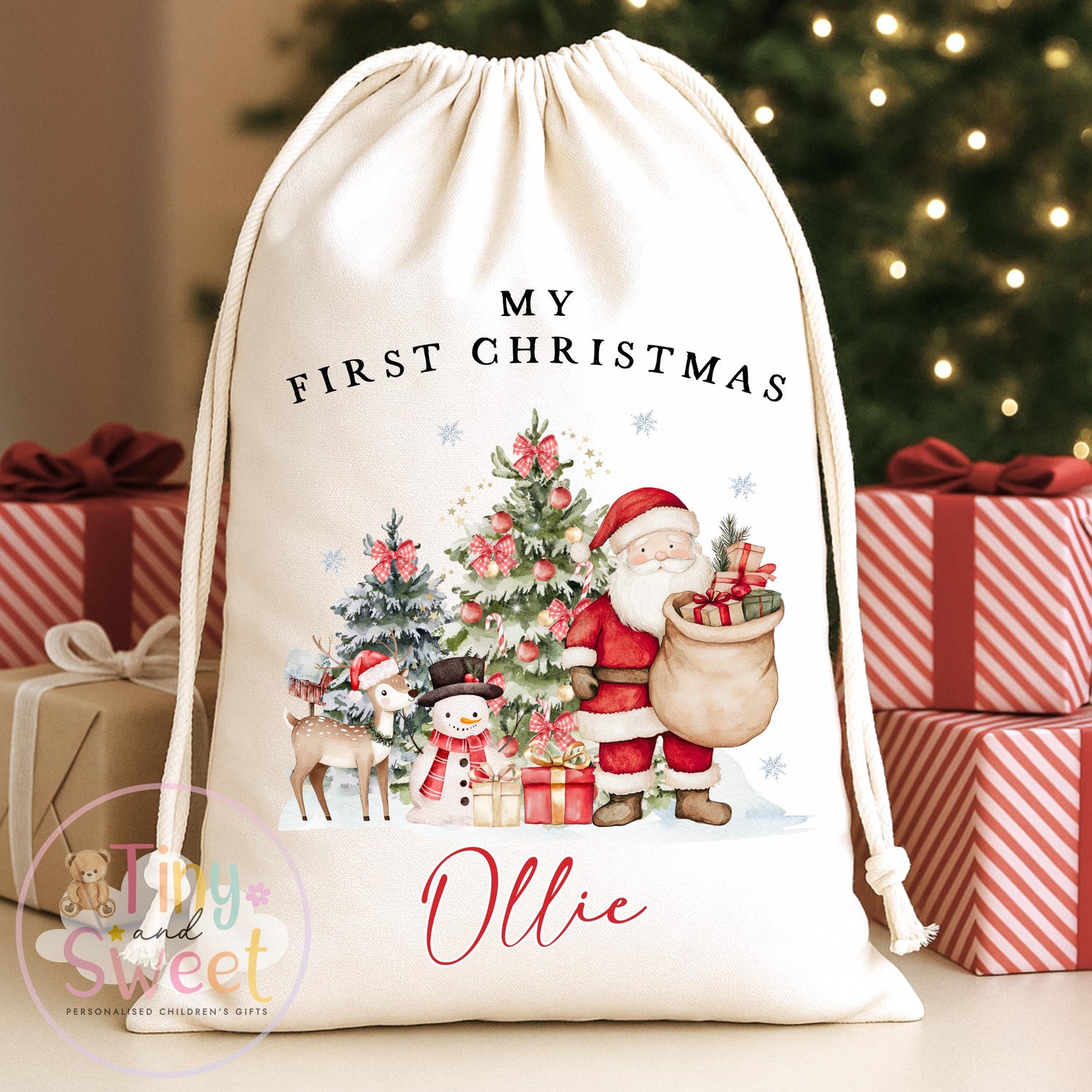 Santa Visits Personalised Christmas Sack