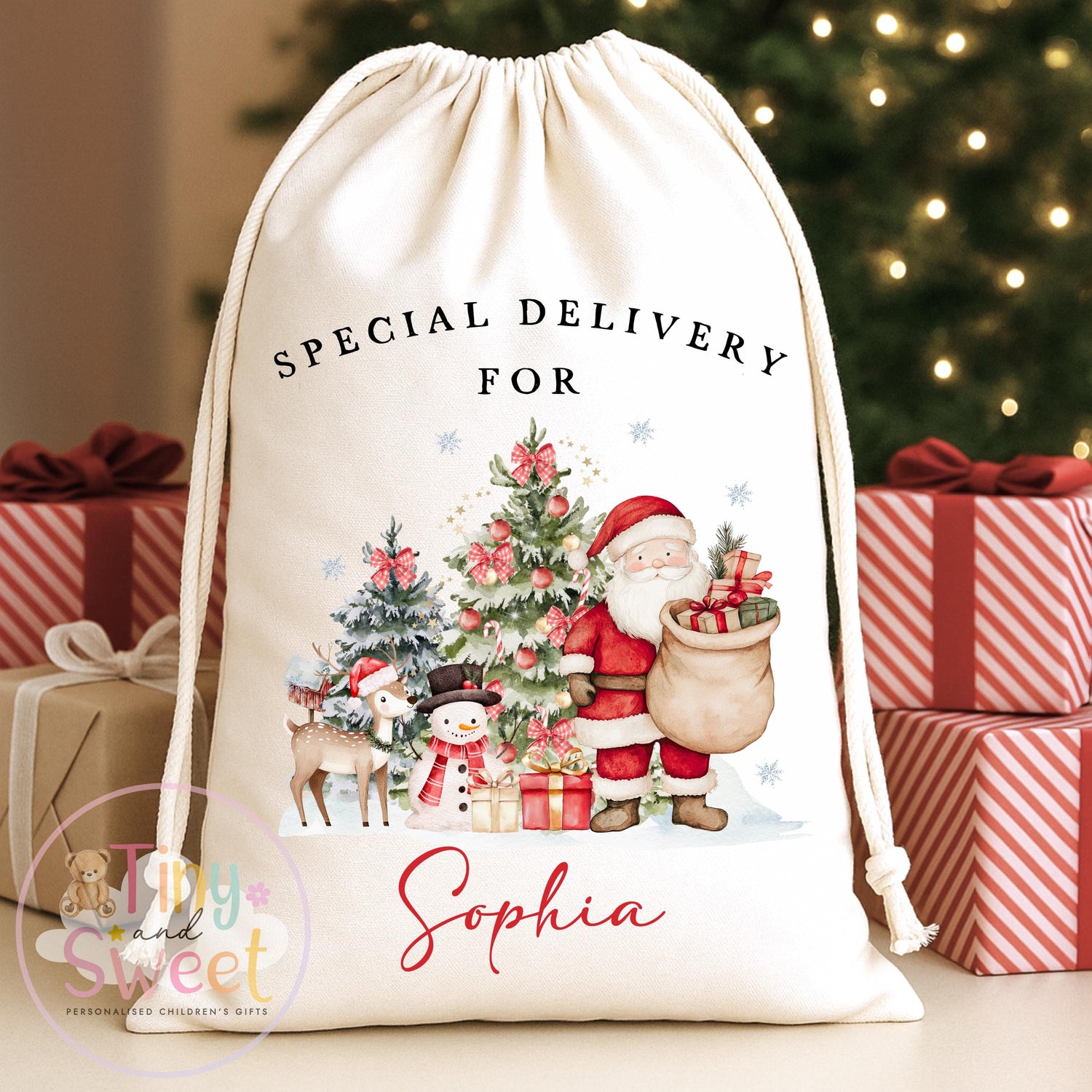 Santa Visits Personalised Christmas Sack