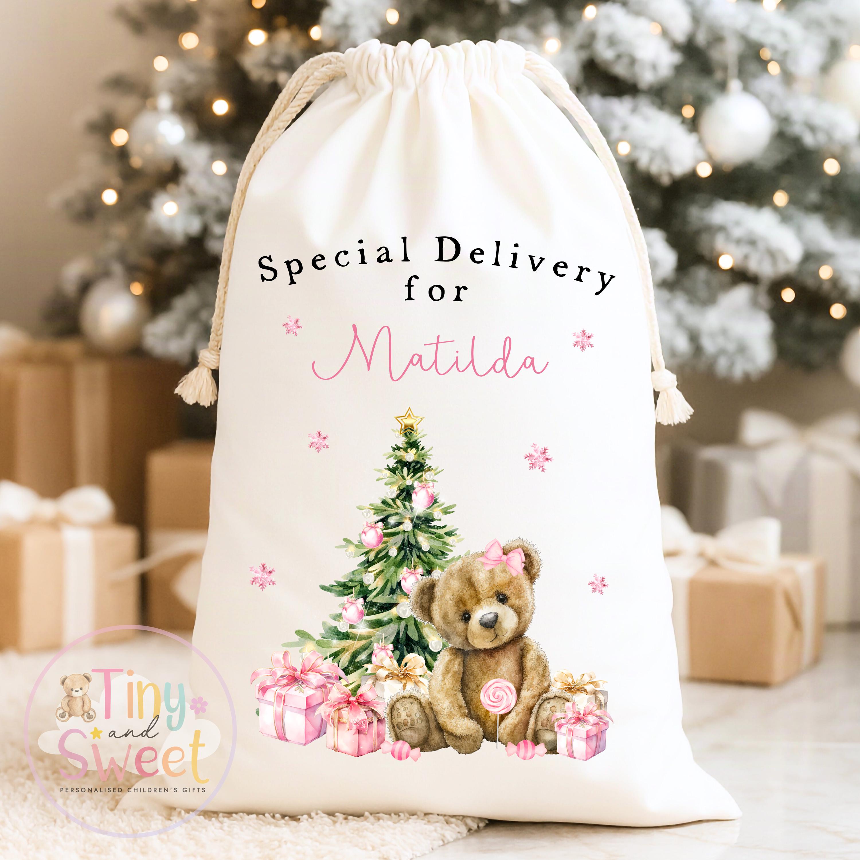 Pink Classic Teddy Personalised Christmas Sack