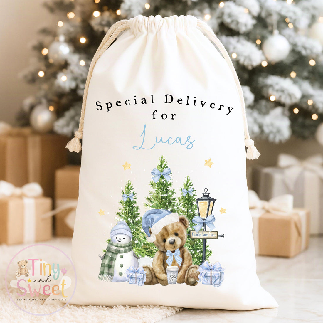 Blue Teddy Bear Winter Wonderland Personalised Christmas Sack