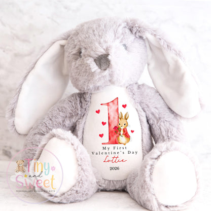 My First Valentines Day Gift, Personalised 1st Valentines Gift, First Valentines Teddy, Personalised Valentines Bunny, Soft Toy Keepsake