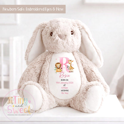 Personalised New Baby soft Toy, New Birth Gift, New baby gift, Newborn Gift, Baby Keepsake, Baby shower gift, Birth stats, Teddy, Bunny