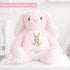 My First Easter Gift, 1st Easter Gift, Easter Bunny Toy, Personalised Easter Bunny, Soft Toy Keepsake, Name Bunny, Grandson Gift