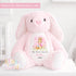 My First Easter Gift, Personalised 1st Easter Gift, First Easter Teddy, Easter Bunny Toy, Personalised Easter Bunny, Soft Toy Keepsake