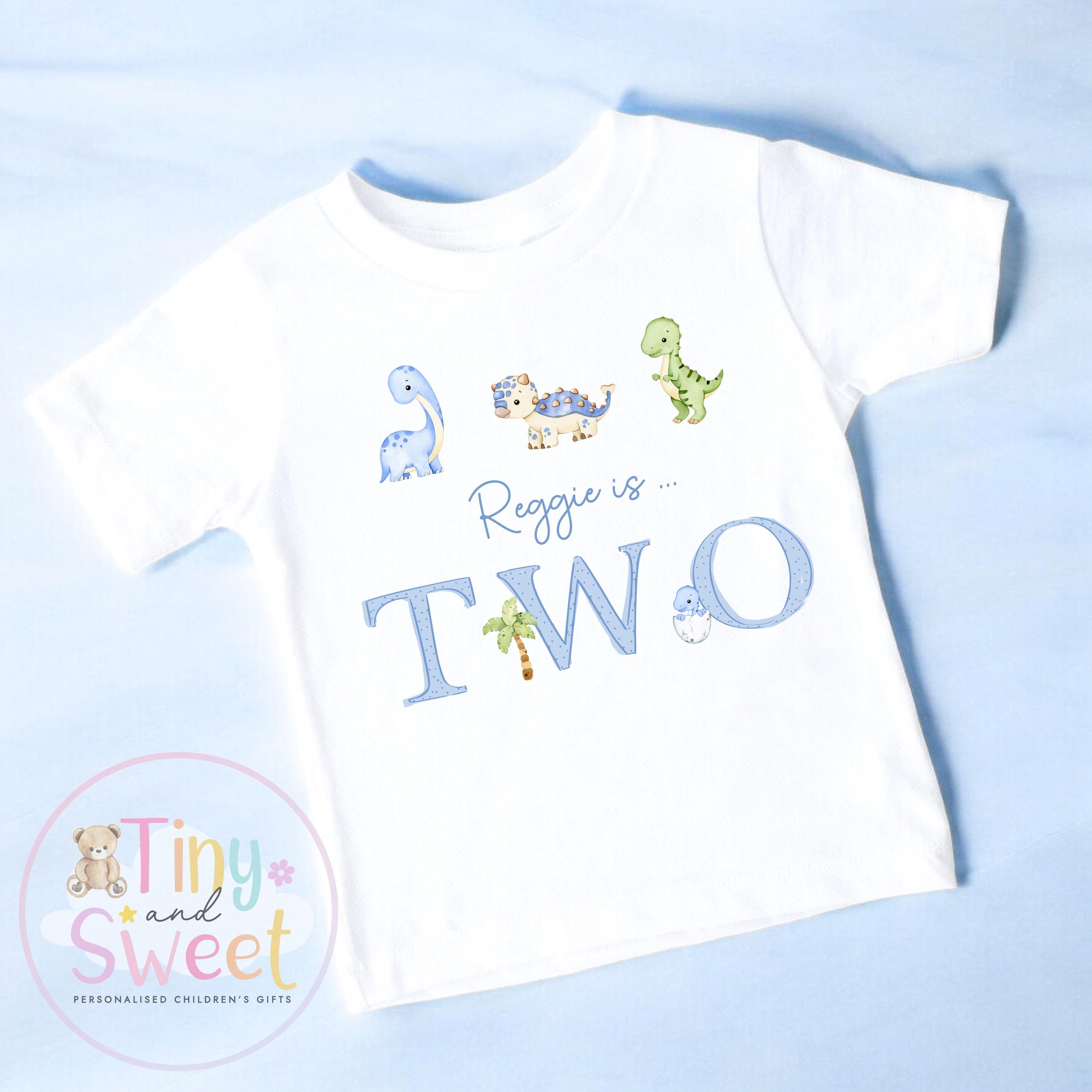 Personalised Blue Dinosaur Birthday Sweatshirt, Custom Dino Birthday Tee, 1st, 2nd, 3rd, 4th