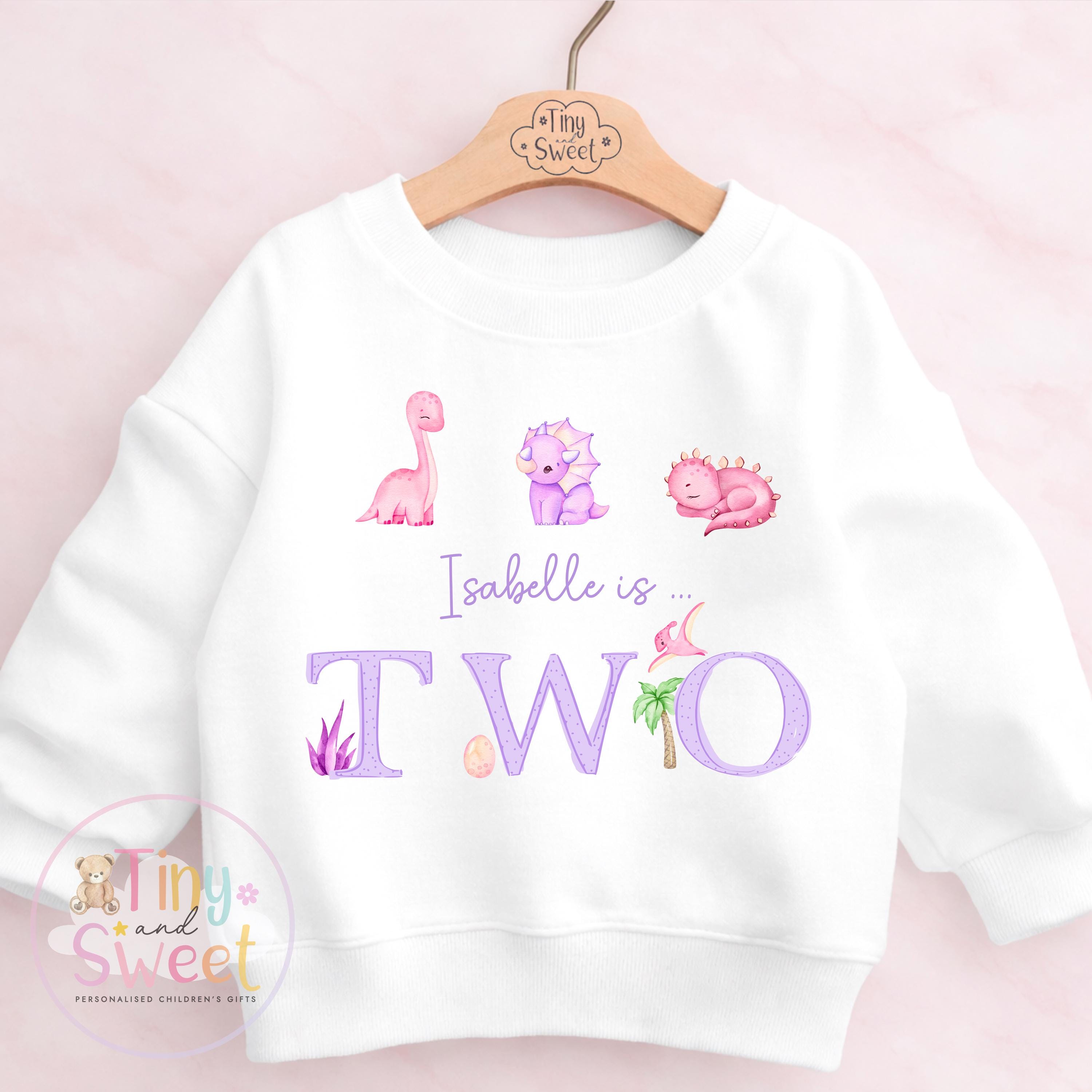 Personalised Pink Purple Dinosaur Birthday T Shirt, Custom Dino Birthday Sweatshirt, 1st, 2nd, 3rd, 4th