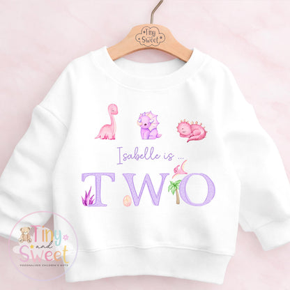 Personalised Pink Purple Dinosaur Birthday T Shirt, Custom Dino Birthday Sweatshirt, 1st, 2nd, 3rd, 4th