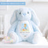 My First Easter Gift, Personalised 1st Easter Gift, First Easter Teddy, Easter Bunny Toy, Personalised Easter Bunny, Soft Toy Keepsake