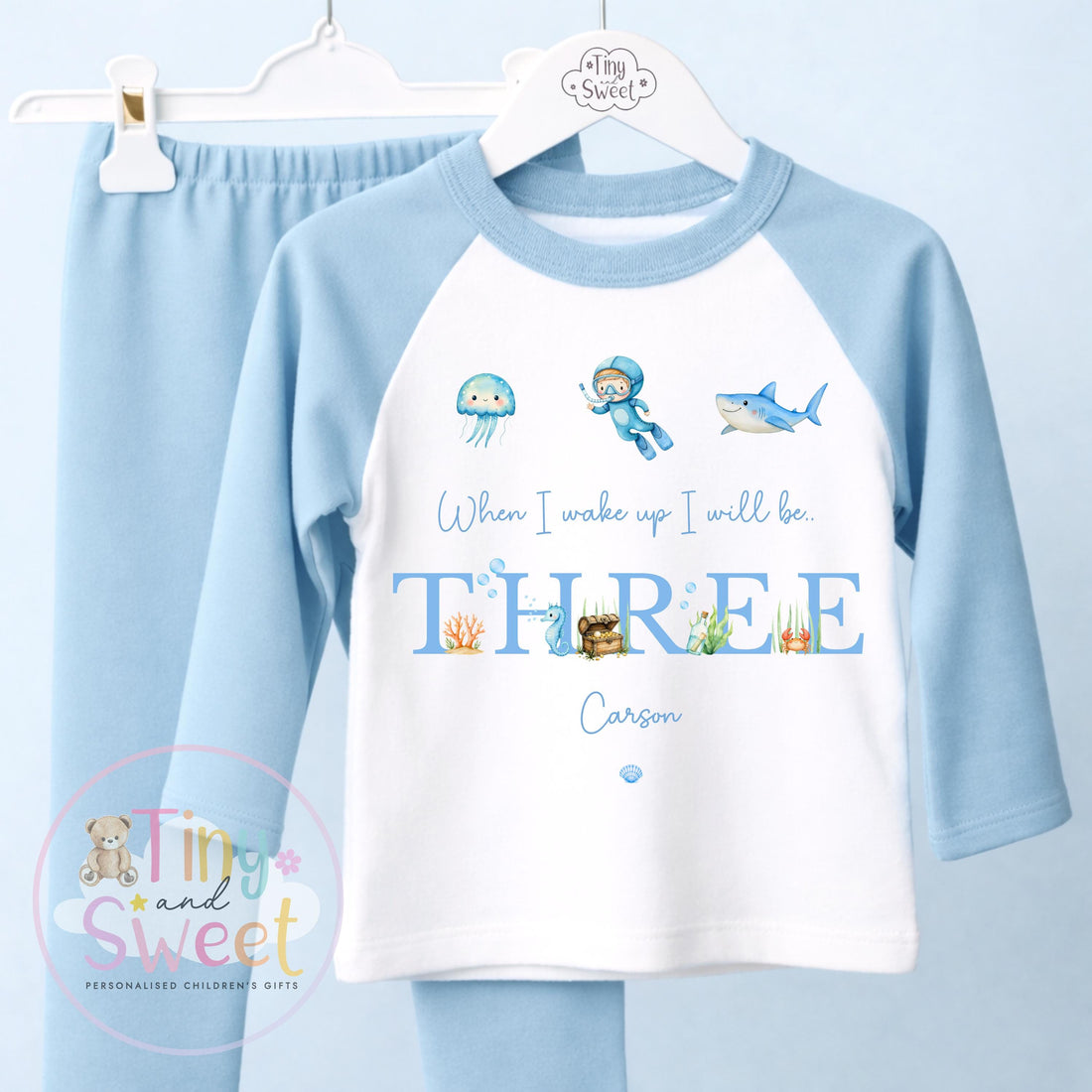 Under the Sea Birthday Set, When I Wake Up I’ll Be…, Ocean Birthday Outfit, Boys Birthday, Under the Sea Theme