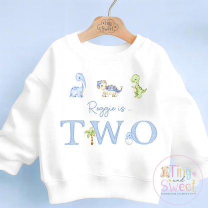 Personalised Blue Dinosaur Birthday T Shirt, Custom Dino Birthday Sweatshirt, 1st, 2nd, 3rd, 4th