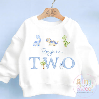 Personalised Blue Dinosaur Birthday Sweatshirt, Custom Dino Birthday Tee, 1st, 2nd, 3rd, 4th
