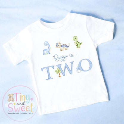 Personalised Blue Dinosaur Birthday T Shirt, Custom Dino Birthday Sweatshirt, 1st, 2nd, 3rd, 4th