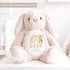 Personalised New Baby soft Toy, New Birth Gift, New baby gift, Newborn Gift, Baby Keepsake, Baby shower gift, Birth stats, Teddy, Bunny