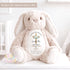 Personalised Christening Bunny Gift, Baptism, Dedication or Holy Communion Gift, Personalised Bunny for Baby’s Special Day