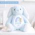 Personalised New Baby soft Toy, New Birth Gift, New baby gift, Newborn Gift, Baby Keepsake, Baby shower gift, Birth stats, Teddy, Bunny