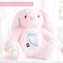 My First Flight Gift, 1st Time Flyer, Holiday Bunny Toy, Personalised Holiday Bunny, Soft Toy Keepsake, Name Bunny, Toddler Gift