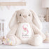 May include: A soft beige bunny toy with long ears and embroidered eyes and nose. The bunny features a pink letter "S" on its chest, with the name "Sadie" and the words "Big Sister" underneath. The text "Newborn Safe: Embroidered Eyes & Nose" is at the top.