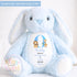 Personalised New Baby soft Toy, New Birth Gift, New baby gift, Newborn Gift, Baby Keepsake, Baby shower gift, Birth stats, Teddy, Bunny